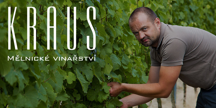 Vinařství Kraus: Sazenice pro Vaši Vlastní Vinici